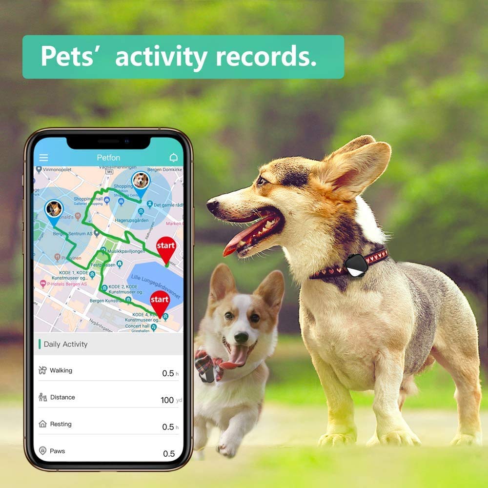 PETFON2  (Smart tracker for 3 dogs)